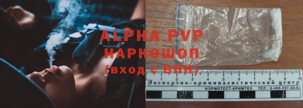 амф Осташков
