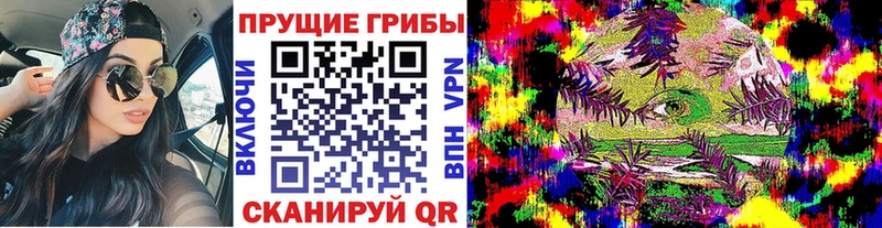 МЕГА онион  Бакал  Галлюциногенные грибы Psilocybe  купить  