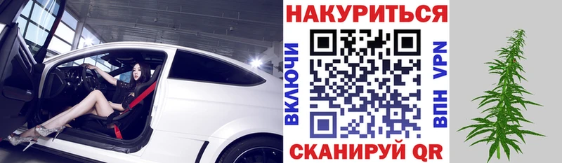Конопля Ganja  цена   Бакал 